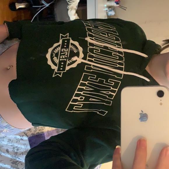 Lake Michigan Cropped hoodie - Picture 3 of 5